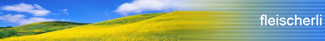 fleischerli